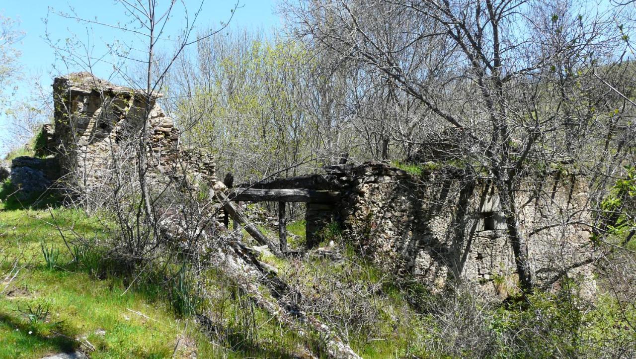 El Huerto De Leon Vila Pradena del Rincon Exterior foto
