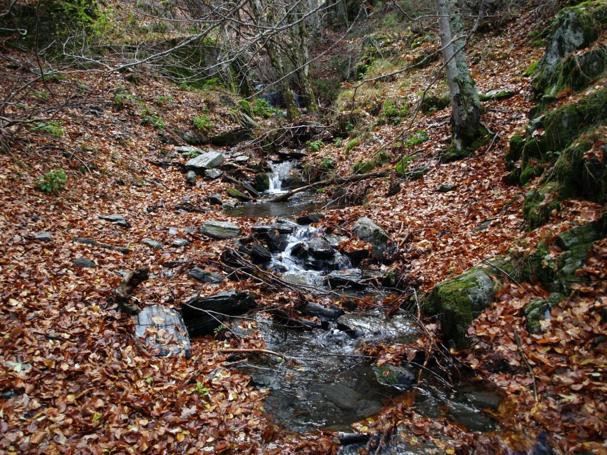 El Huerto De Leon Vila Pradena del Rincon Exterior foto