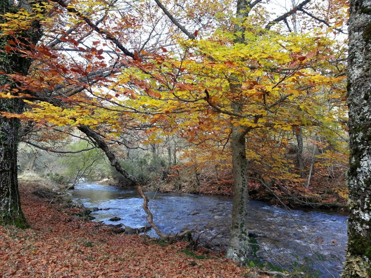 El Huerto De Leon Vila Pradena del Rincon Exterior foto