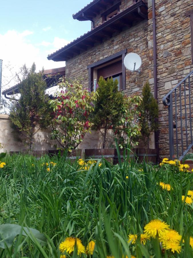 El Huerto De Leon Vila Pradena del Rincon Exterior foto